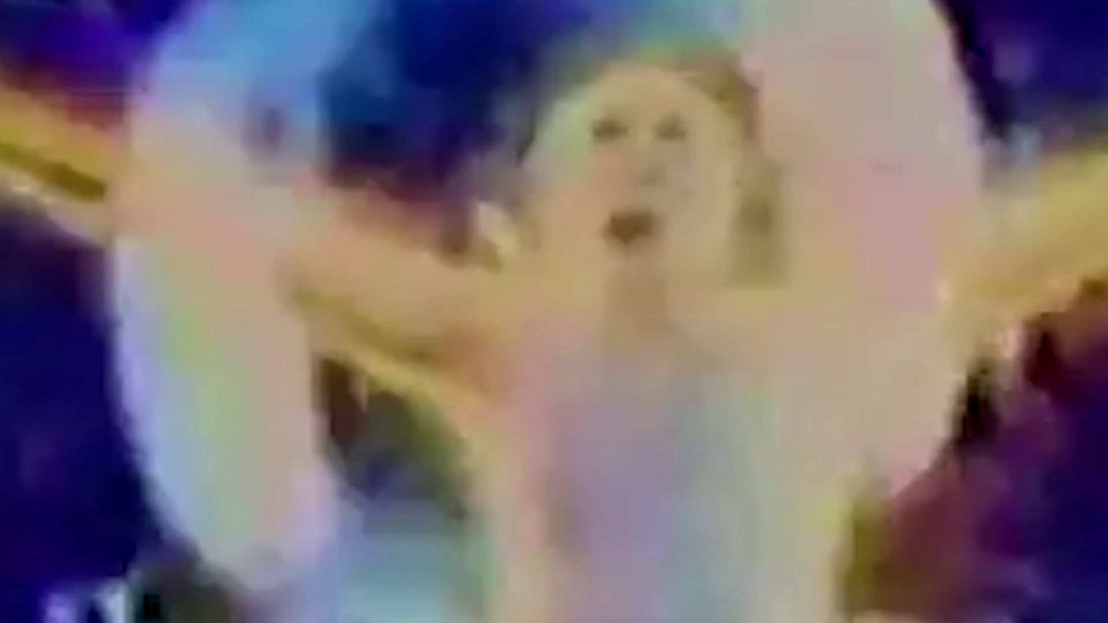 Video still from The Venice Biennale (2019) by Melle Nieling